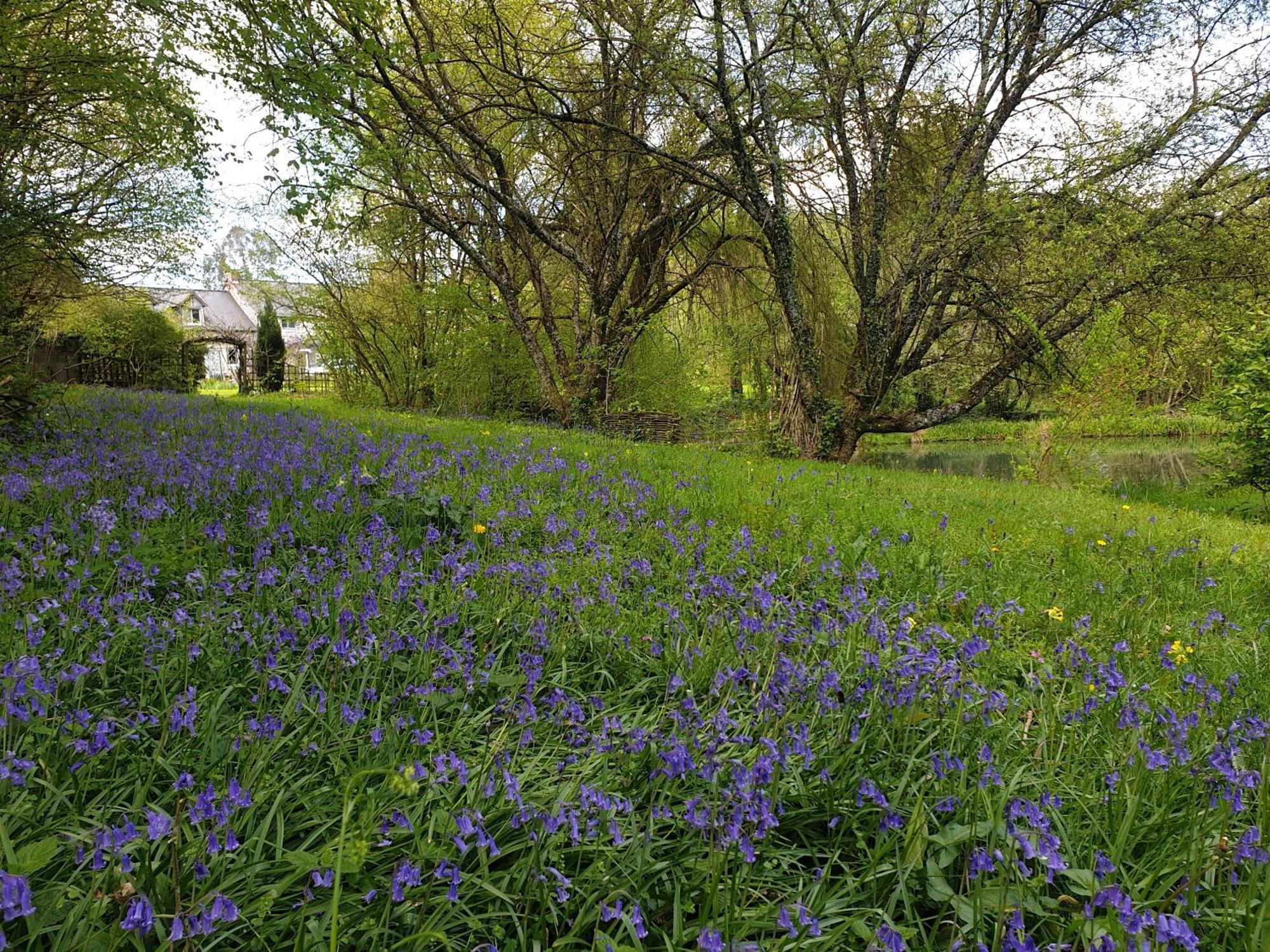 Fermette Dans Les Pays De La Loire Villa Ize Luaran gambar