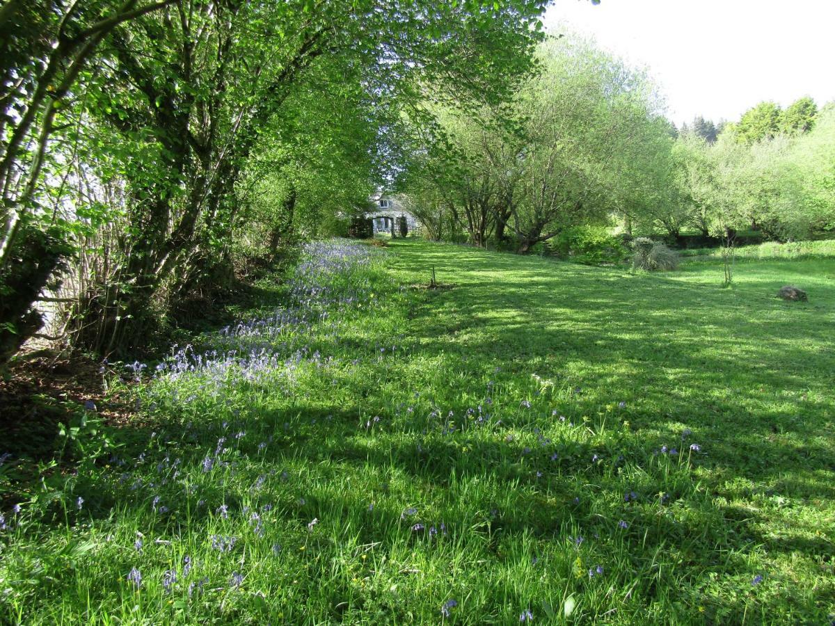 Fermette Dans Les Pays De La Loire Villa Ize Luaran gambar